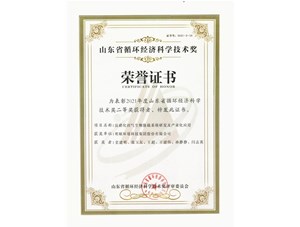 熱烈祝賀明碩環(huán)境集團獲得2021年度山東省循環(huán)經(jīng)濟科學技術(shù)獎二等獎